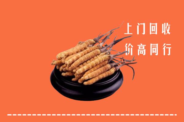 高价求购：中山市回收散虫草