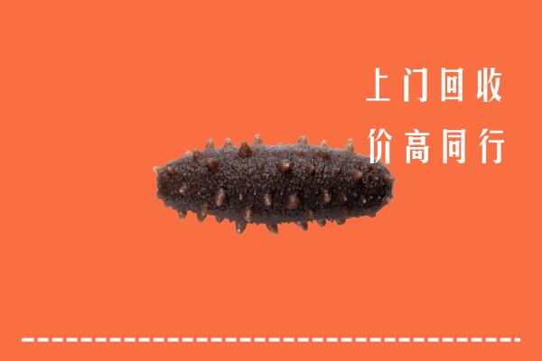 高价求购：中山市回收海参