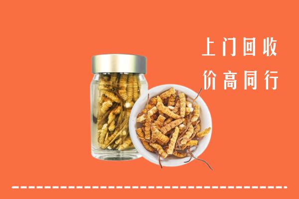 中山市回收冬虫夏草