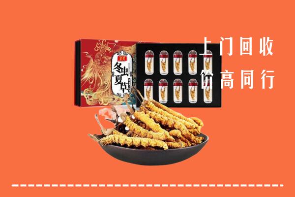 中山市回收虫草